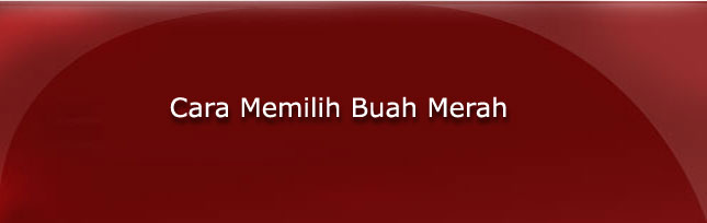 buah merah